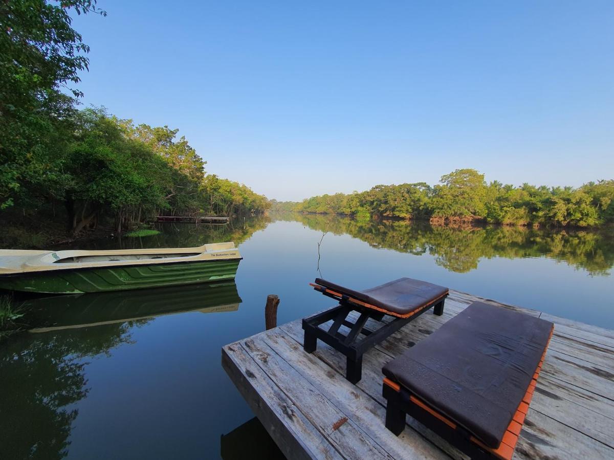 The Backwaters Lodge Wilpattu Nationalpark Exterior foto