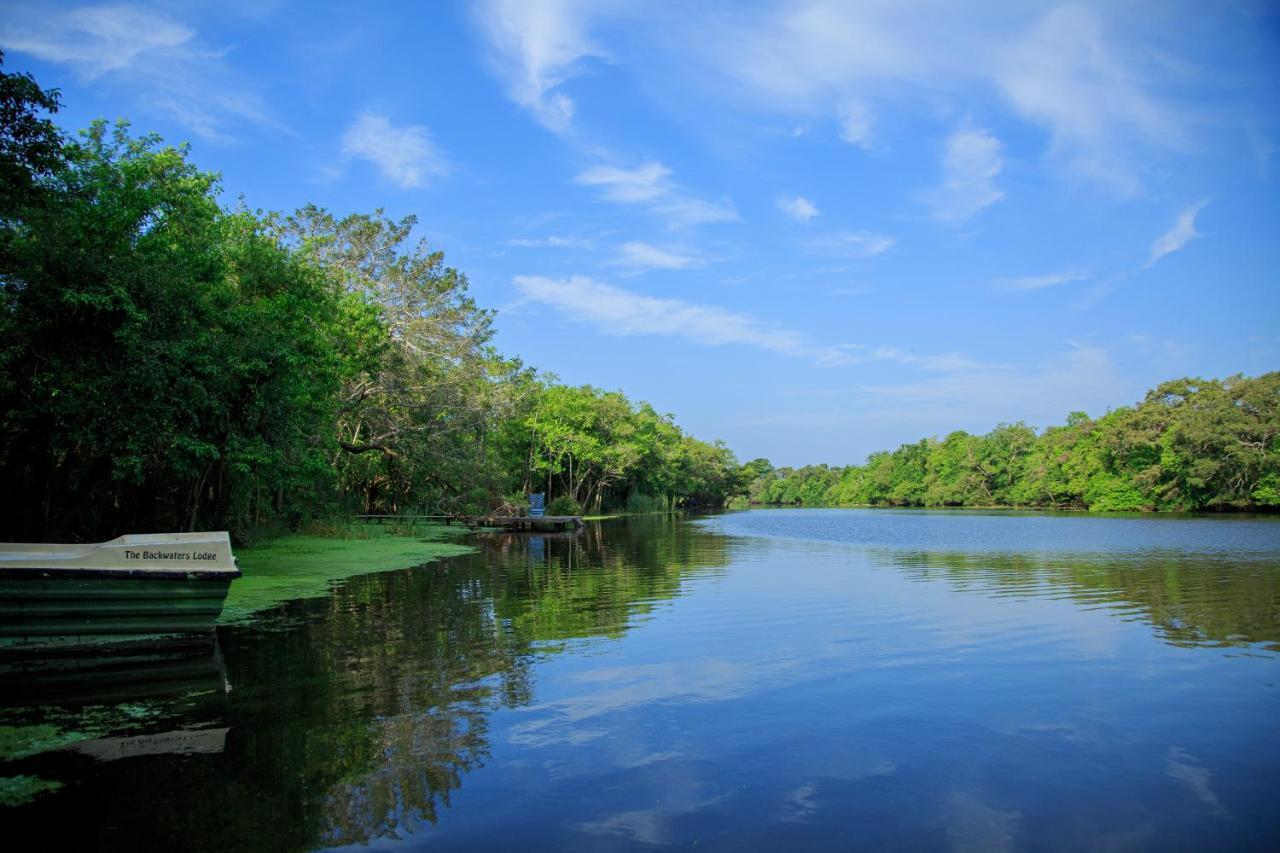 The Backwaters Lodge Wilpattu Nationalpark Exterior foto