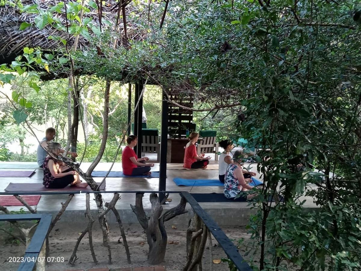 The Backwaters Lodge Wilpattu Nationalpark Exterior foto