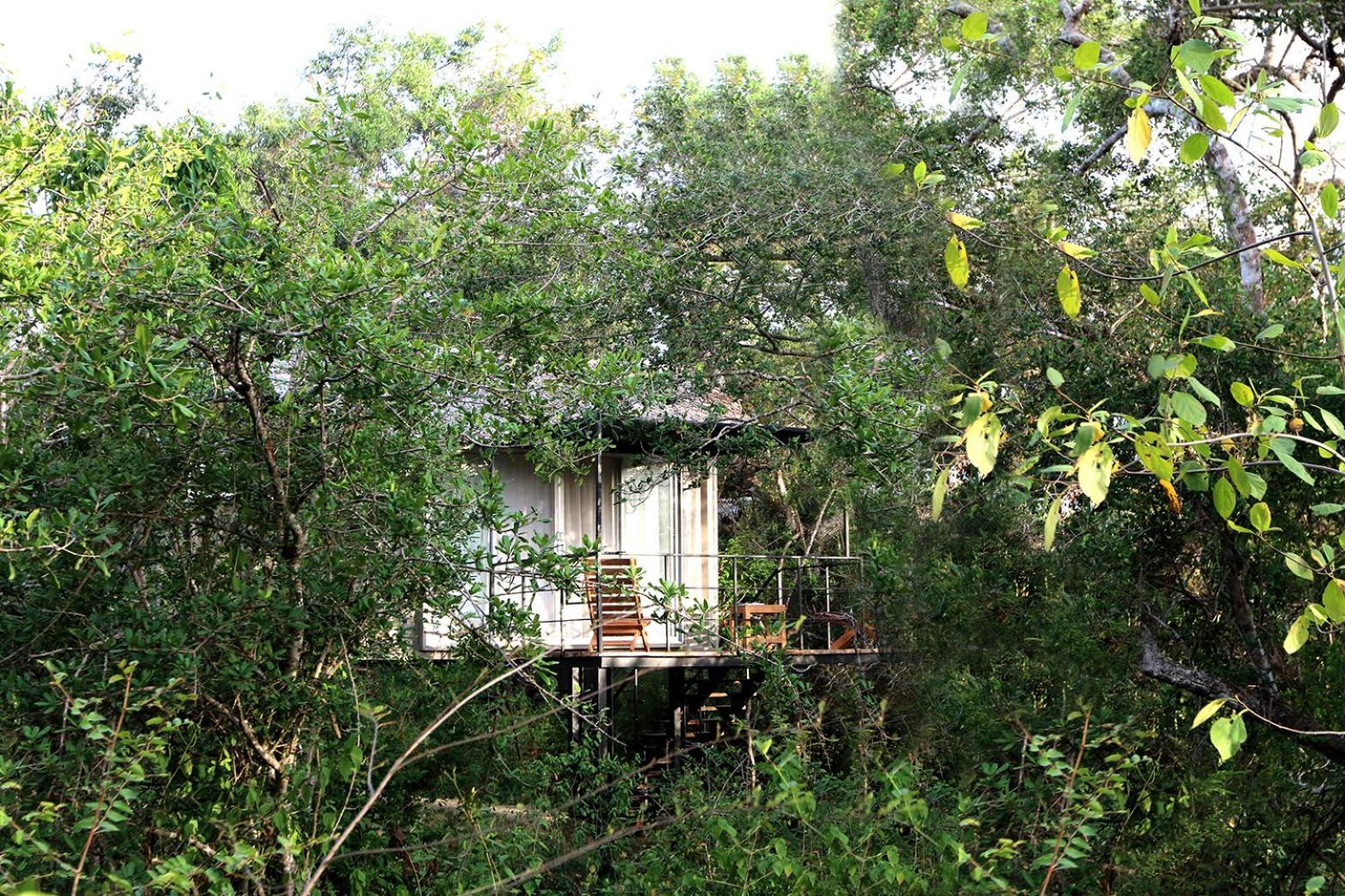 The Backwaters Lodge Wilpattu Nationalpark Exterior foto