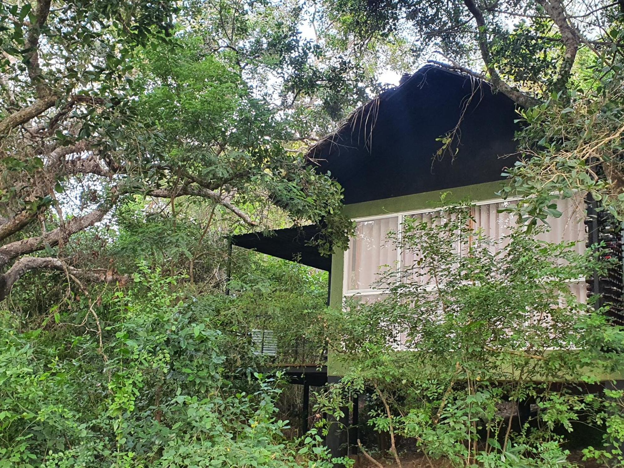 The Backwaters Lodge Wilpattu Nationalpark Exterior foto