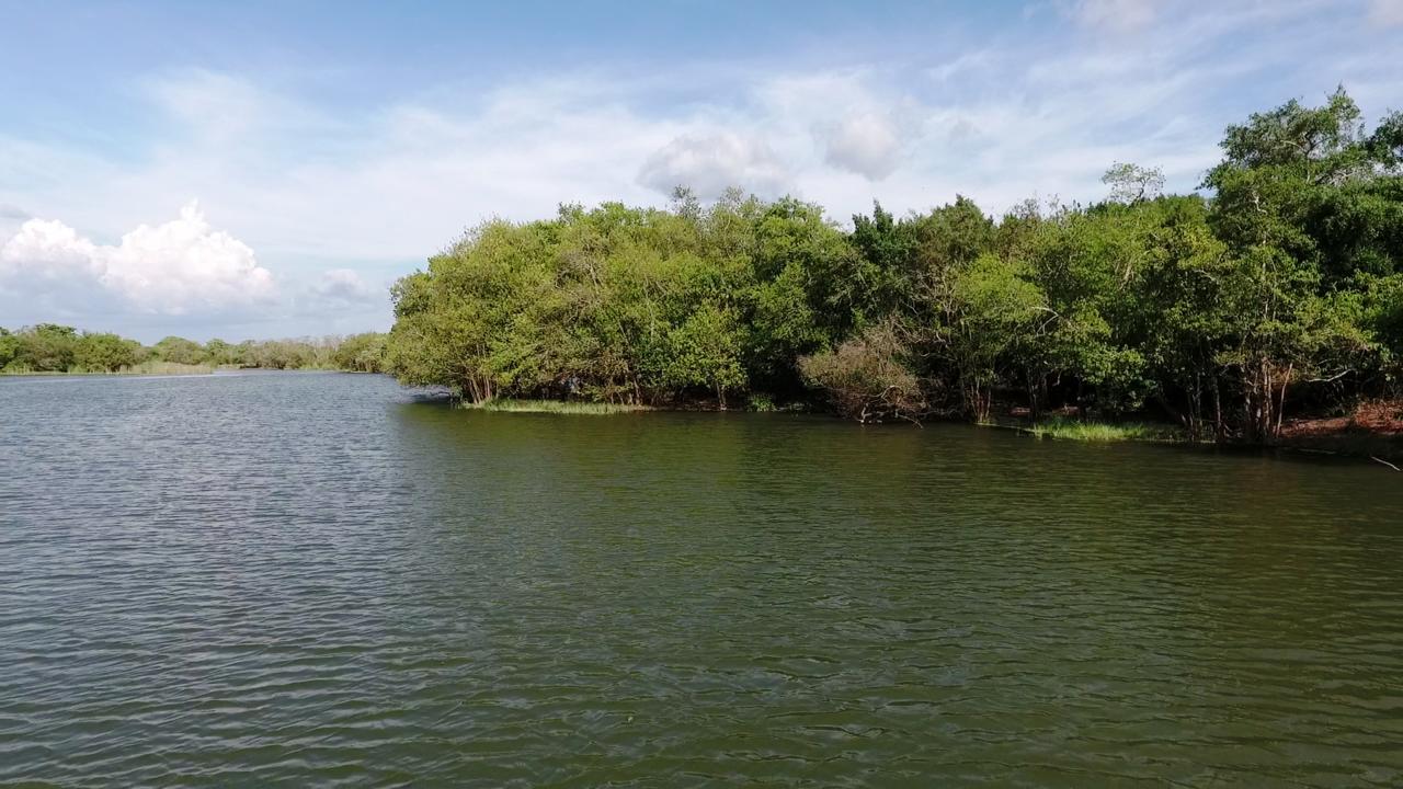The Backwaters Lodge Wilpattu Nationalpark Exterior foto