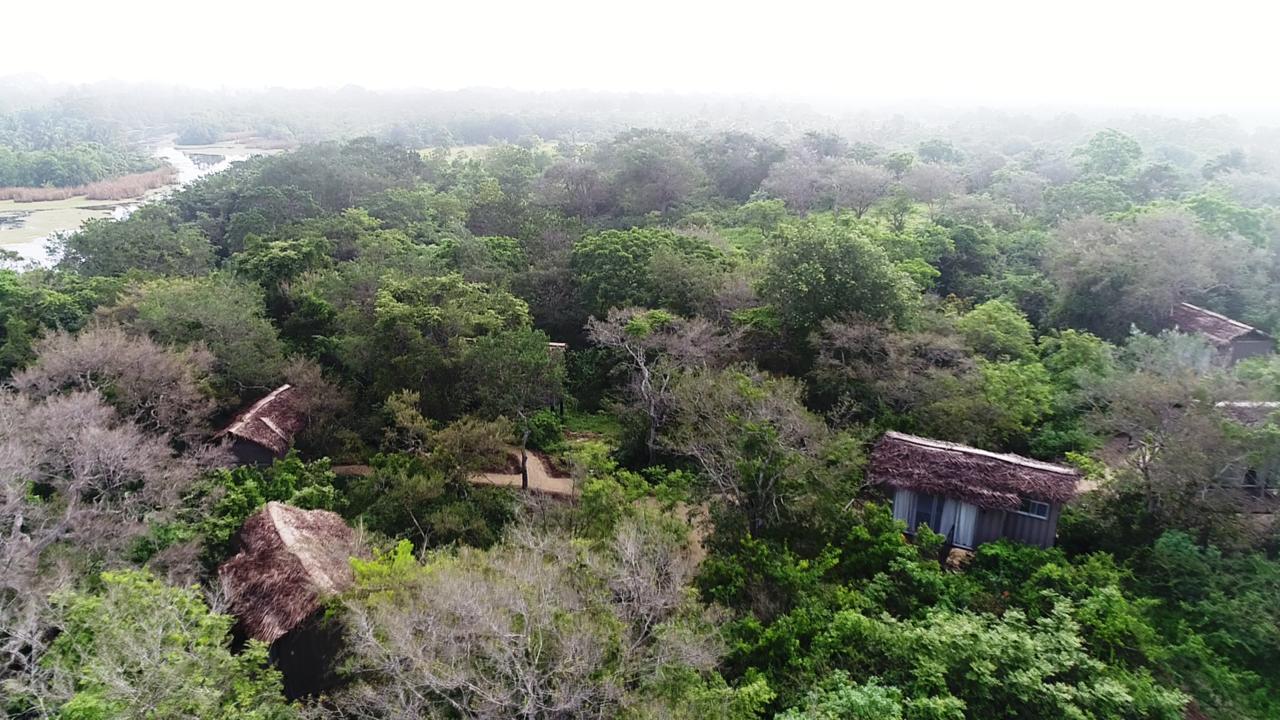 The Backwaters Lodge Wilpattu Nationalpark Exterior foto