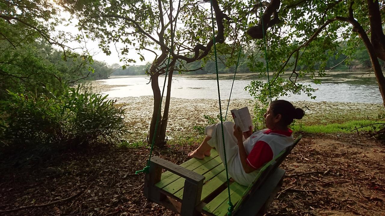 The Backwaters Lodge Wilpattu Nationalpark Exterior foto