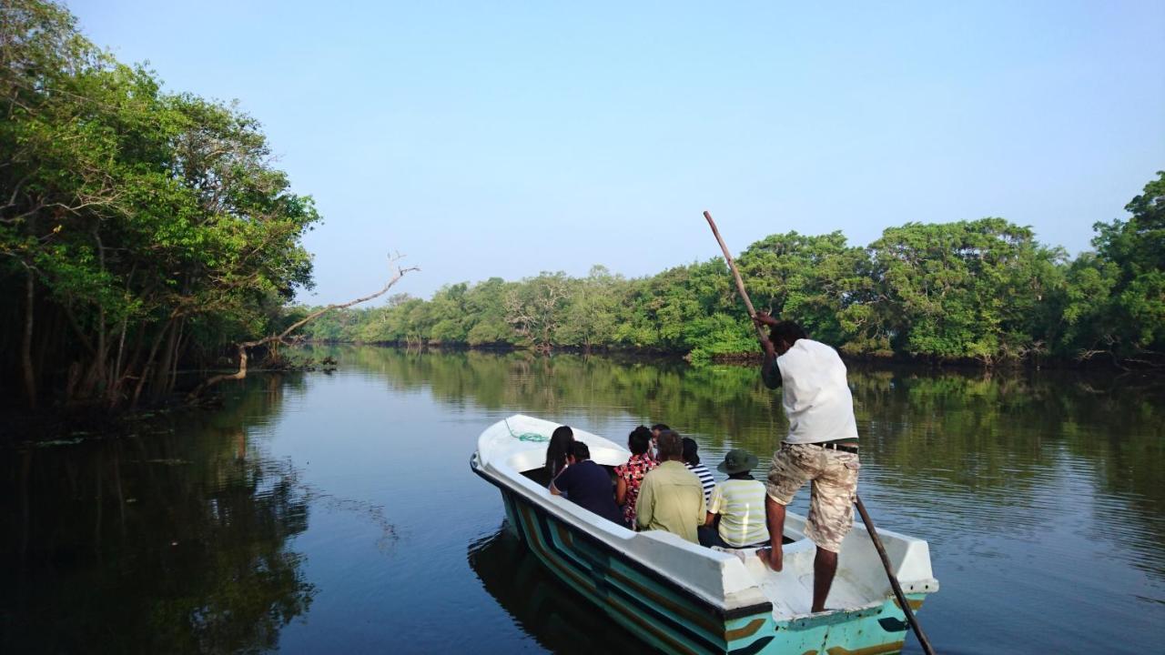 The Backwaters Lodge Wilpattu Nationalpark Exterior foto