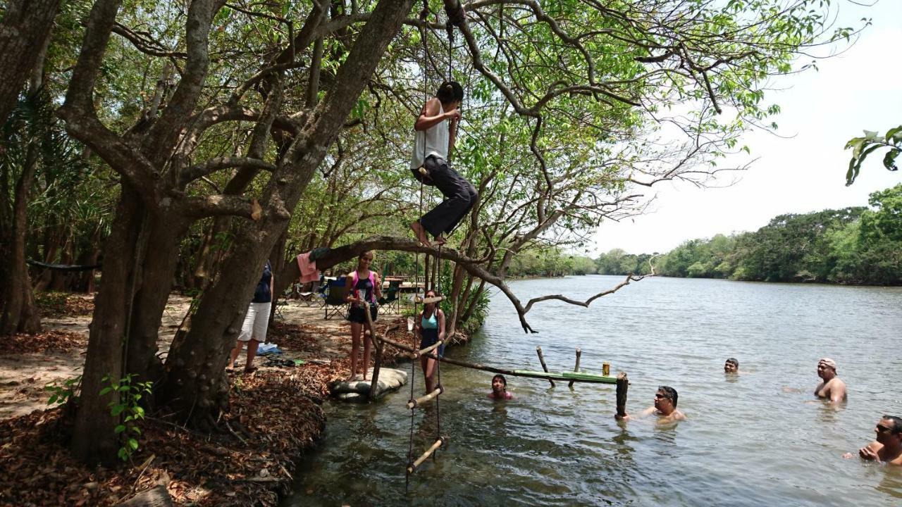 The Backwaters Lodge Wilpattu Nationalpark Exterior foto